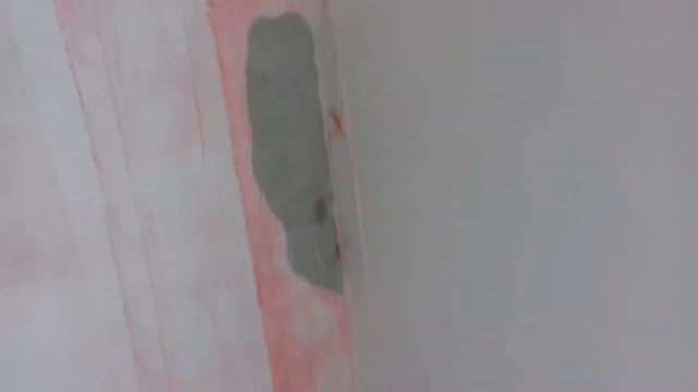 Ремонт однокомнатной квартиры в п. Шушары от Кербес Константина 4 08 2018 2