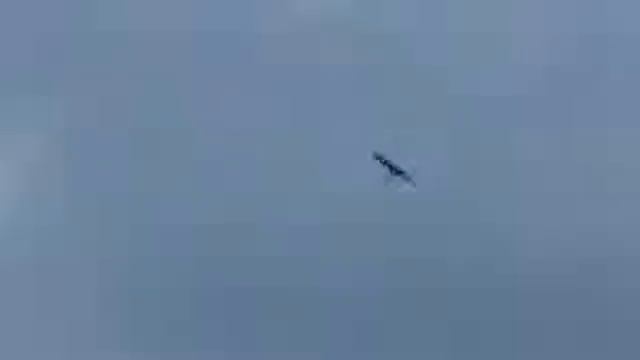 Bionic bird смотреть онлайн