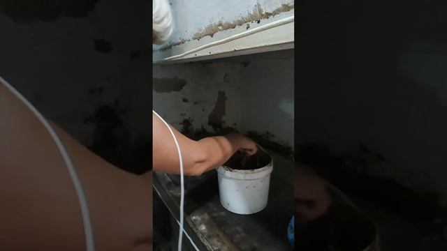 Как приготовить глиняный раствор для печи и замазать сажотруски #дача #свойдом #женщина #характер смотреть онлайн