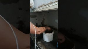 Как приготовить глиняный раствор для печи и замазать сажотруски #дача #свойдом #женщина #характер
