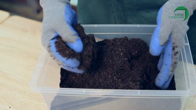 Биогумус_Сила Суздаля смотреть онлайн