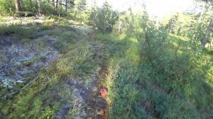 Медвежий угол . Магаданская область , сплав на пакрафтах по рекам Яма и Тахтаяма