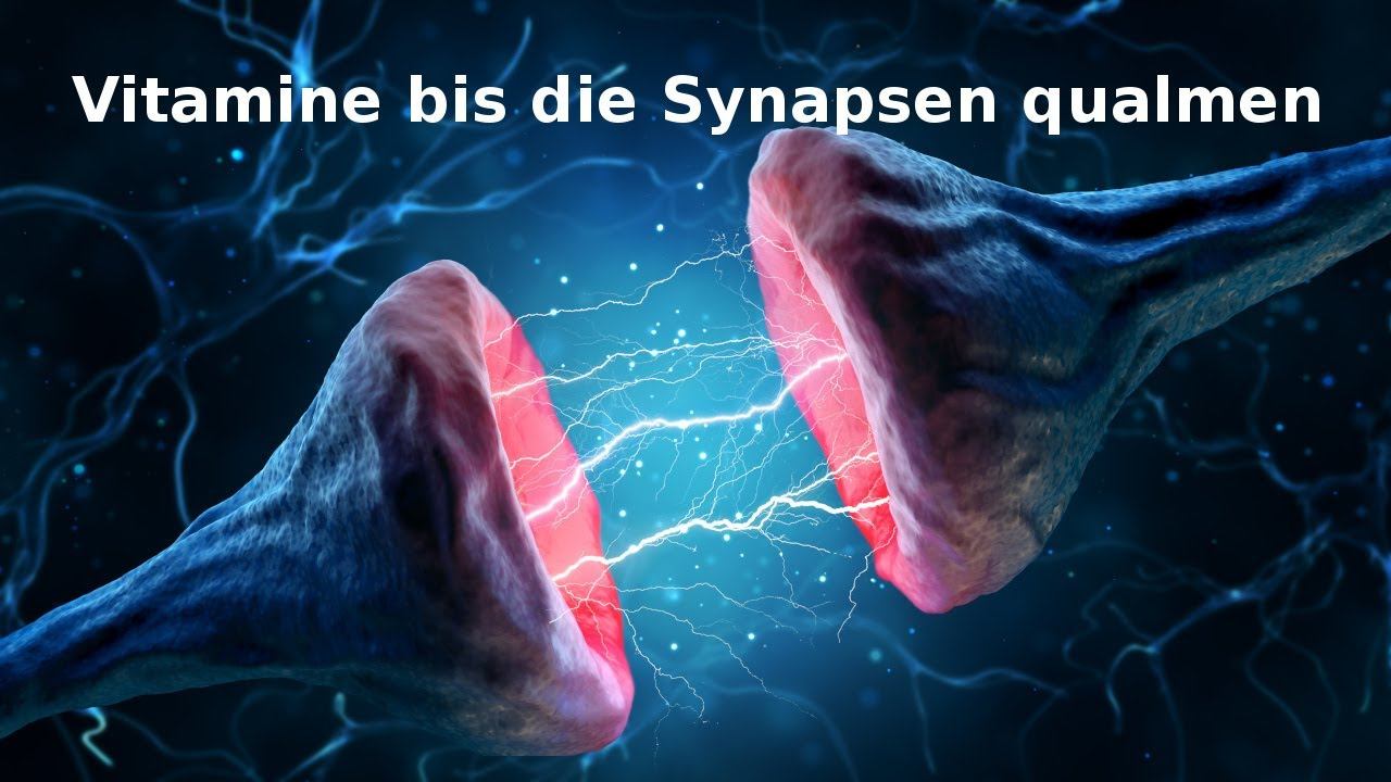 Vitamine bis die Synapsen qualmen, Vom Einfluss synthetischer Vitamine auf das Verhalten von Hunden смотреть онлайн