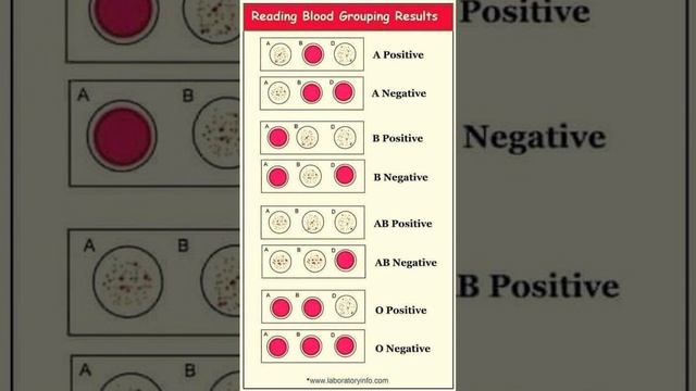 Blood group смотреть онлайн