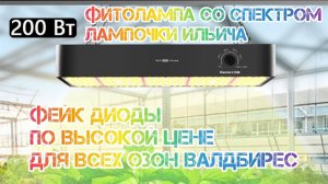Обман Quantum board 200w Аля Samsung Ozon wildberies озон валдбирес квантум Борд фитолампа  растений
