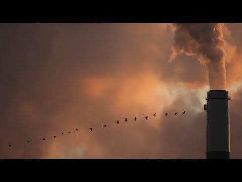 How Reducing Soot Pollution Can Save Lives смотреть онлайн