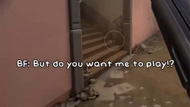Valorant: Gaming With The Girls смотреть онлайн