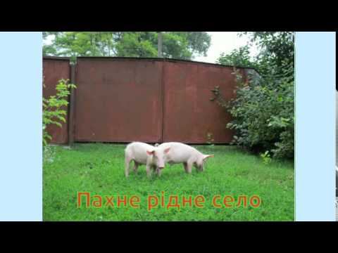 с.Макіївка смотреть онлайн