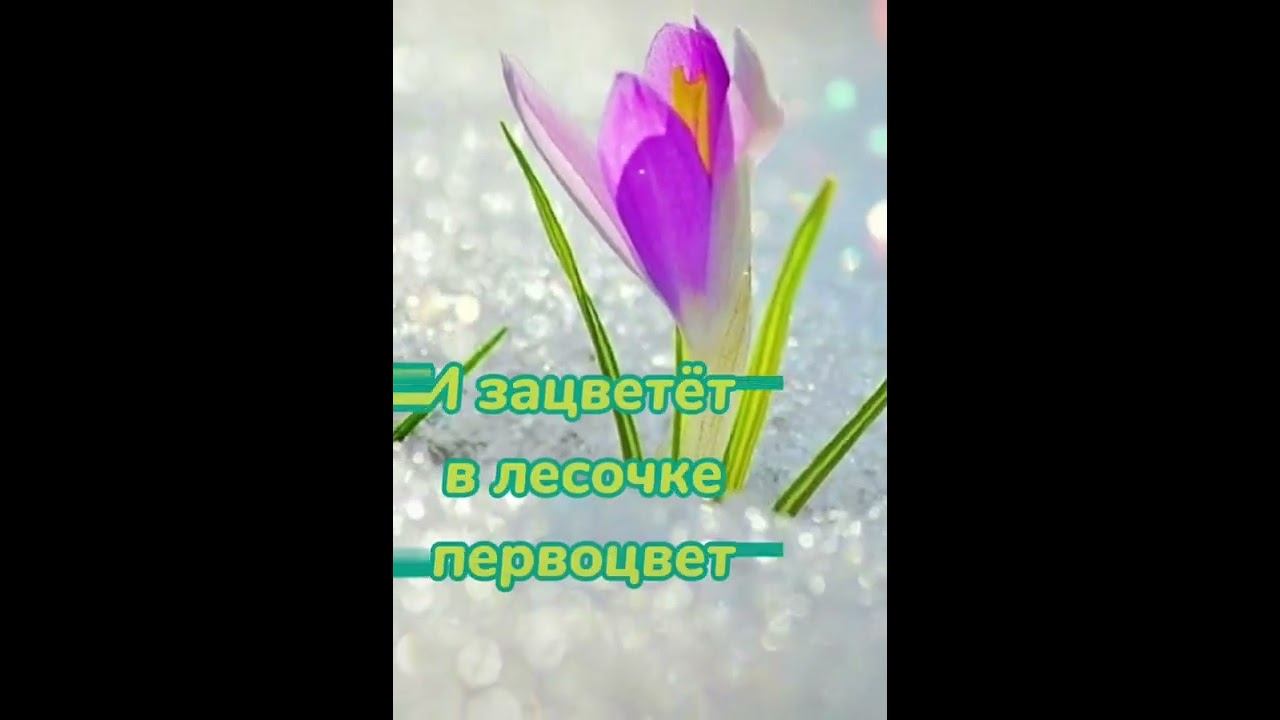 🌼ЗИМА ИДЕТ НА СПАД.. СКОРО ВЕСНА😁 смотреть онлайн