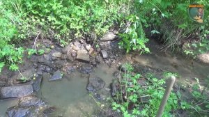 Разведка лесного ручья и пробы на перекате (часть два)