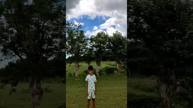 Настоящая Куба, сельская местность. Куба за 57 тысяч рублей с перелетом на 10 ночей.@tutsi-dieti смотреть онлайн