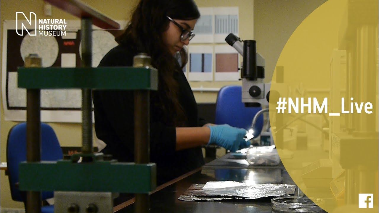 The science of shooting stars with Natasha Almeida | #NHM_Live смотреть онлайн