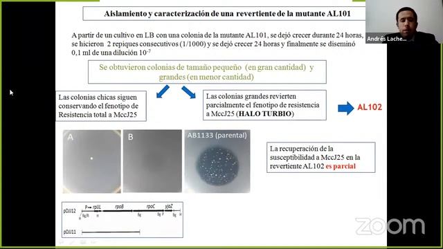 Lachenicht - Defensa de Tesis Doctoral - 4/10/21 смотреть онлайн