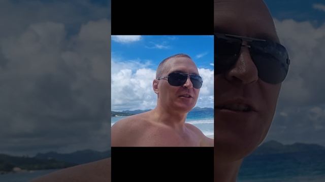 Посадили пальму на острове