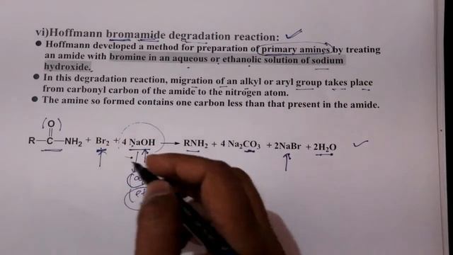 Amine Ncert revision Class 12 || Chemistry lotus || Deepak sir смотреть онлайн