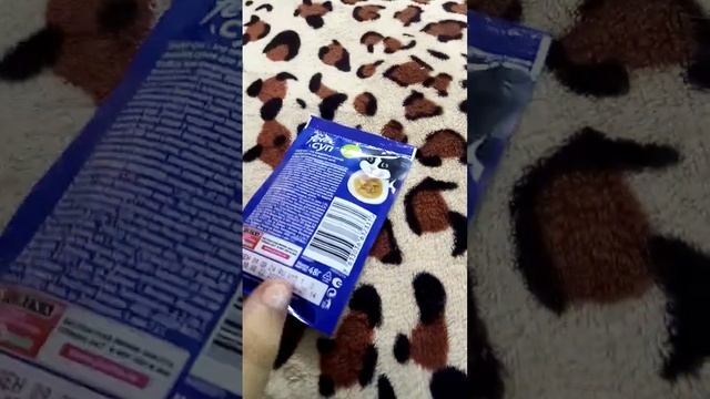 корм который я сегодня купила смотреть онлайн
