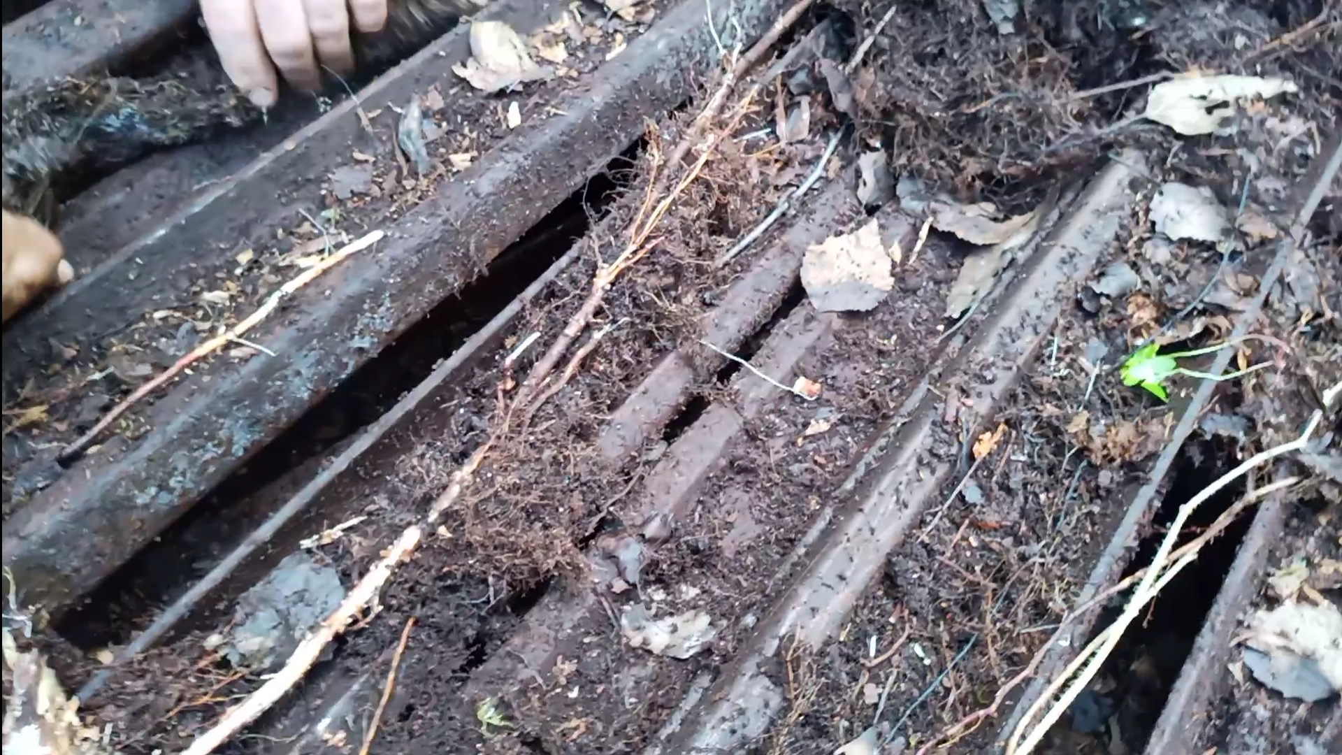 На погрузочной эстакаде в лесу нашли штабель рельс . За три дня в лесу 4 тонны металла . #металлокоп смотреть онлайн