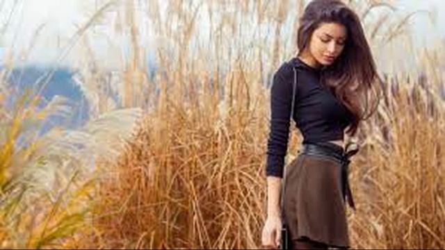 Al Fakher - Шахрезад