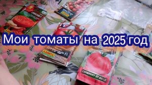 Томаты на 2025 год. Что выбрала.