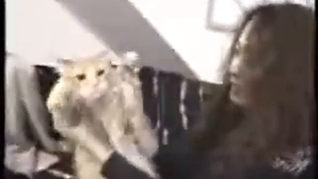 X JAPAN FILM GIG 93 HOUSE TOUR смотреть онлайн