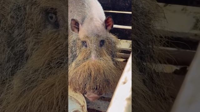 да, надо же так.