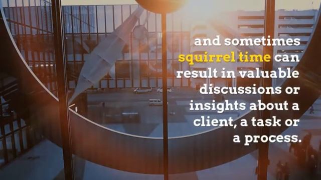 How to Work at Peak Productivity and Avoid Squirrel Time - Management Insight смотреть онлайн