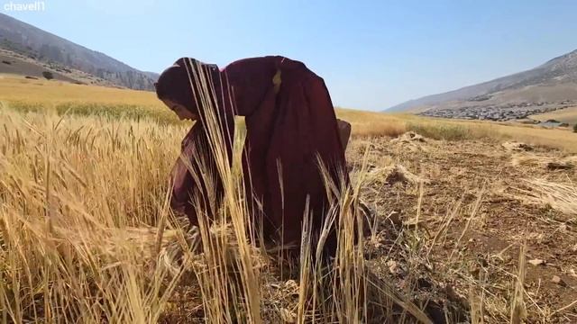 Invincible: A Nomadic Woman's Struggle with a Cheating Husband смотреть онлайн