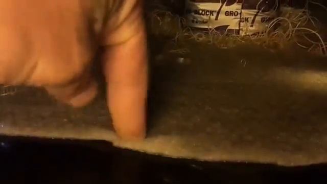 How To Get Massive Roots Out Of Your Rockwool Cubes What Grodan Dont Want You To Know смотреть онлайн