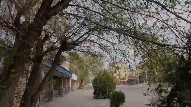 Орнитологические наблюдения. г.Элиста, апрель 2020 г. смотреть онлайн