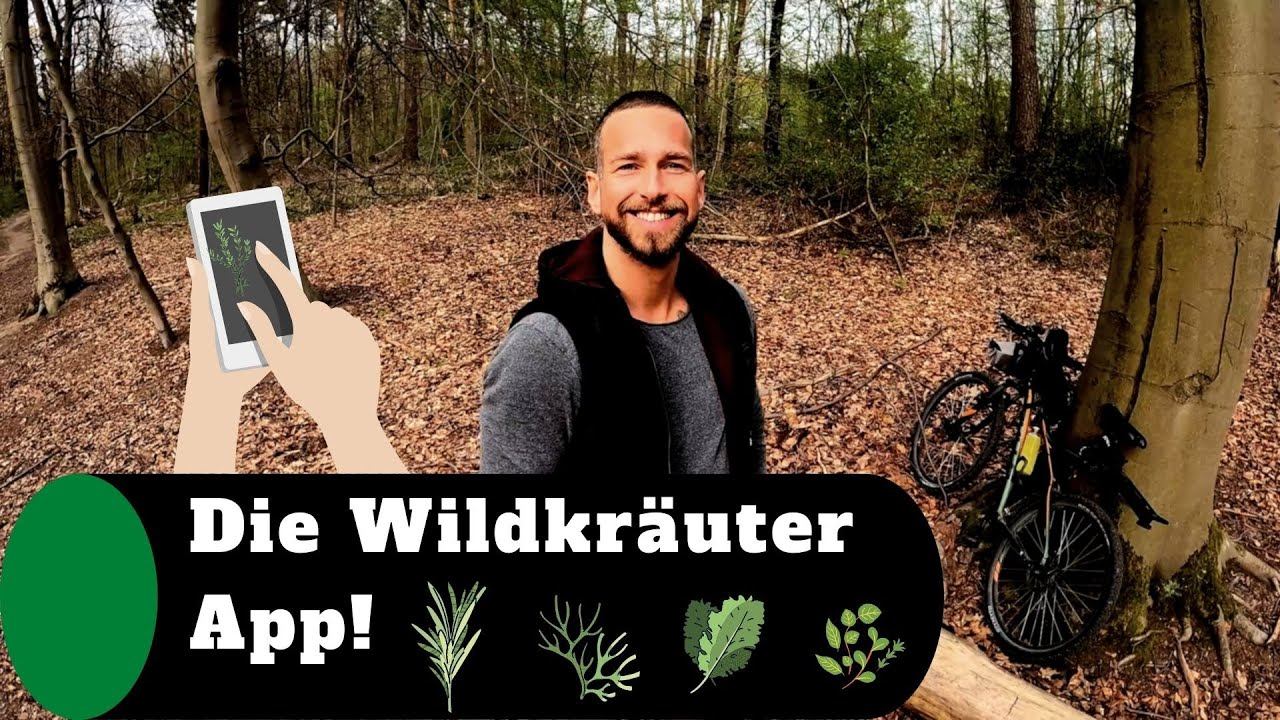 Mit dieser App- super einfach Wildkräuter bestimmen. смотреть онлайн