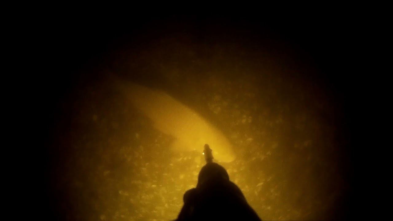 История одной охоты после запрета 16 июня 2021 смотреть онлайн