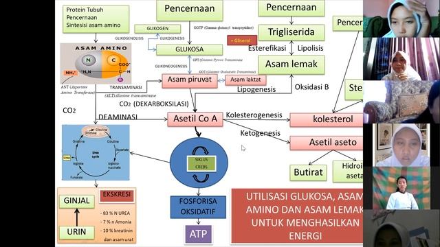 METABOLISME LEMAK смотреть онлайн