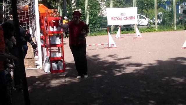 Степанова Светлана 13.06.2015 Квалификационные соревнования АРКС смотреть онлайн