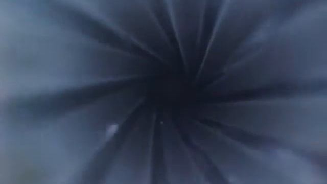 Ствол крикета через бороскоп.