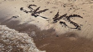 Шарм-Эль-Шейх  2024 part 1 of 3 | Parrotel Beach Resort  5 ⭐️| Egypt 🇪🇬