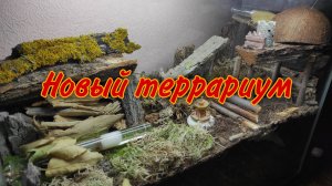 ТЕРРАРИУМ ДЛЯ МУРАВЬЕВ