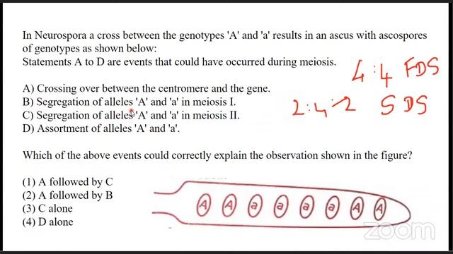 TNSET Life science 2024 | Inheritance Biology | Previous Year Question Discussion| Professor Academ смотреть онлайн
