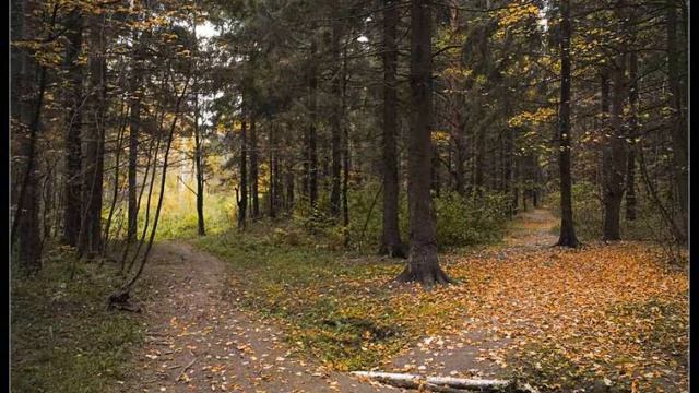 Таганка смотреть онлайн