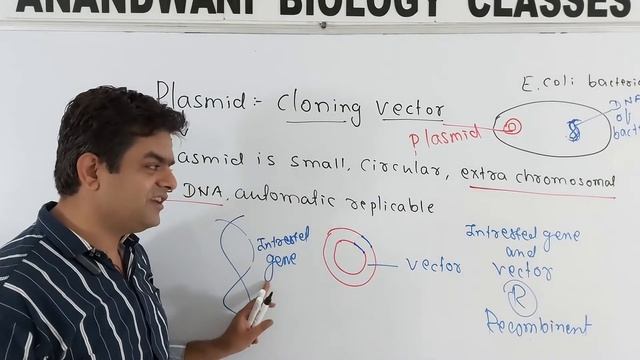 Plasmid A Cloning Vector For Gene Transfer. Ideal Cloning Vector.