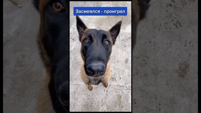 сложность не возможность смотреть онлайн