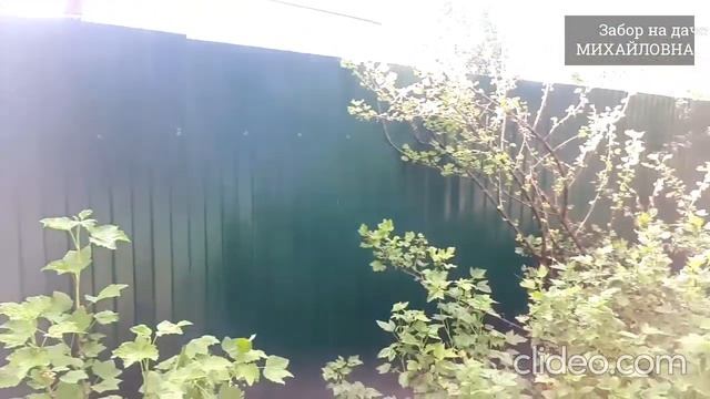 Забор из профнастила на дачном участке смотреть онлайн