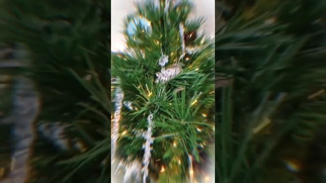 в преддверии 2025 )