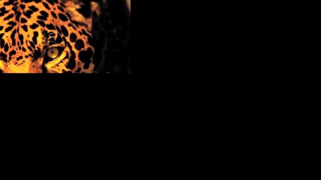 Jaguar Logo Sparta Remix