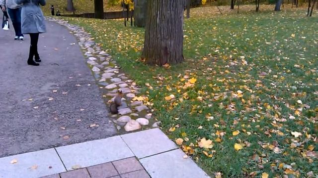 Белка Царицыно смотреть онлайн