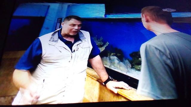 Опасные рыбки пираньи в ташкентском зоопарке. Настоящие прожорливые рыбы.