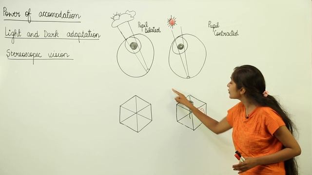 Class 10th I Biology I Chapter 10 I Sense Organ | stereoscopic vision, power of accomodation l L148 смотреть онлайн