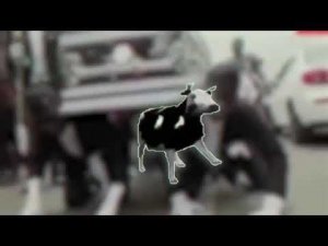 ПОЛЬСКАЯ КОРОВА TRAP REMIX   MEMNAYA PAPKA feat  DAVID BEATS