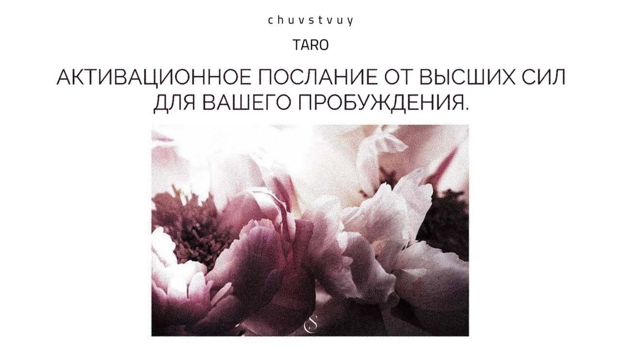 Активационное послание от Высших Сил для вашего пробуждения. Таро. ♡ смотреть онлайн