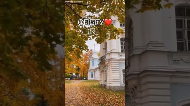 Все про СПБГУ (ссылка в описании) | СПбГУ - лучший вуз Питера #поступление #спбгу #егэ #подготовка смотреть онлайн