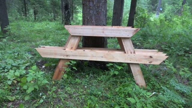 Волонтёры на тропе здоровья